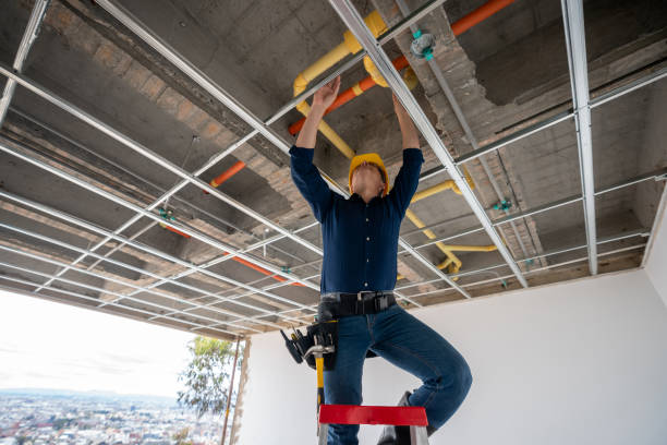 Best Residential Plumbing Services  in Progreso, TX