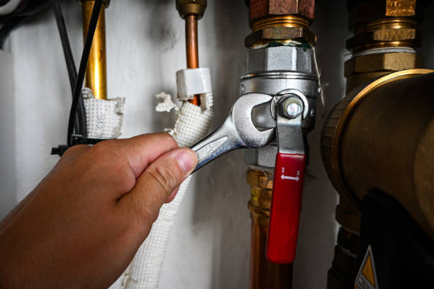 Best Clogged Drain Plumber  in Progreso, TX